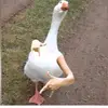 AlbrechtBartschneider - @albrechtbartschneider - TikTok