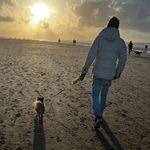 Bart Schneider - @bartjeschneider - Instagram