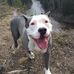 Bart Schneider - Facebook