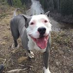 Bart Schneider - @bart.schneider.94 - Instagram