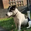 bart_schroeder - @bart_schroeder - TikTok