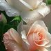 Sessy Camarena Bartolo - Facebook
