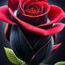 Shane Bart - Facebook