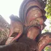 Shankar Barti - @shankarbarti - TikTok