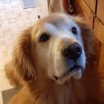 Bart Sherman - @bartsherman1 - Instagram