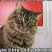 Bart Shivers - Facebook