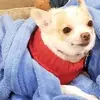 Bart Sidi - @bart.sidi - TikTok