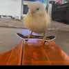 Bartek Augustyniak - @bartv.1 - TikTok