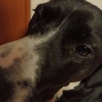 Bartek Czech - @bartus_czechxd - Instagram