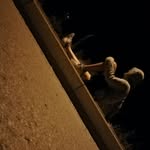 Bartek Tomaszewski - @tomaszewski.bartek - Instagram