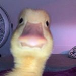 Bartek Wolański - @bartek_wolanski0 - Instagram