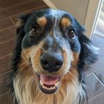 Bartholomew Bernard Brown - @bart_brown21 - Instagram