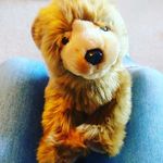 Bartholomew Boris Brown - @bartholomewbrownbear - Instagram