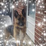 Judy Brown Bartholomew - @judybrownbartholomew - Instagram