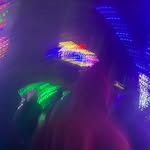 otto - @bartholomewcornford - Instagram