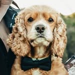 Zigford Bartholomew Martínez - @zigfordbartholomew - Instagram