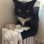 Felix Bartholomew Foxtrot - @felix_bartholomew_foxtrot - Instagram