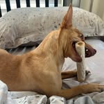 Rufus Bartholomew Jackson - @rufus_b_jackson - Instagram