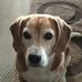 Benson Bartholomew Byron Beagle-Morris - Facebook