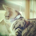 Bartlett Browning - @bartlettbrowning - Instagram