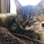 Gin Bartlett Gibson Brown - @gin_816 - Instagram