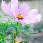 Positive Thoughts - @bartlettbrownart - Instagram