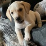Bartley Williams - @meetbartley - Instagram