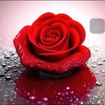 Bartola Martinez - @bartola_m4 - Instagram