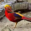 Bartola Moreno - @bartola.moreno4 - TikTok