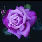 Bartola Rivas - Facebook