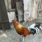 Bartolo Acosta - Facebook