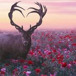 Bartolo Acosta - @bartoloacostaborreg - Instagram