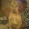 Bartolome Alfaro Flores - @bartolome.alfaro - TikTok