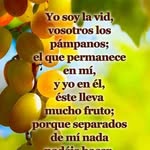 Bartolo Alvarez - @bartoloalvarez58 - Instagram