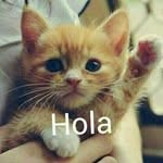 Bartolo Alvarez - @bartolo.alvarez - Instagram
