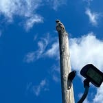 Bartolo Bonilla - @bartolo.bonilla.587 - Instagram