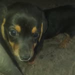 Bartolo Bustos - @bustosbartolo - Instagram