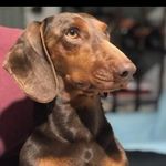 Bartolo - @bartolo.cano.herrera - Instagram