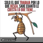 Bartolo Carrión - @bartolo.carrion - Instagram