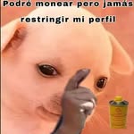 BARTOLO Chavéz Javier - @bartolochavezjavier - Instagram