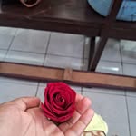 LuzDariana Bartolo Dominguez - @luzdarianabartolo - Instagram
