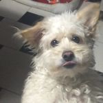 bartoloduran - @bartoloduran_ - Instagram