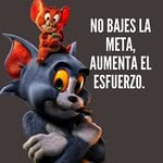 Bartolo estrada Jiménez - @jbartoloestrada - Instagram