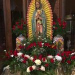 Bartolo Flores - @bartolo240876 - Instagram