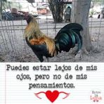 Bartolo Flores - Facebook