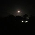Bartolo Flores - @bartolo.flores.9699 - Instagram