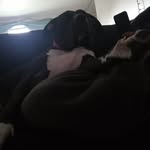 Barton McPherson - @bart_mcpherson - Instagram