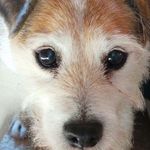 Barton Mills Boarding - @barton_mills_boarding - Instagram