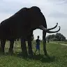 Barton Muller - @barton.muller - TikTok