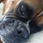 Kellie Barton-Palmerio - @bartonpalmerio - Instagram